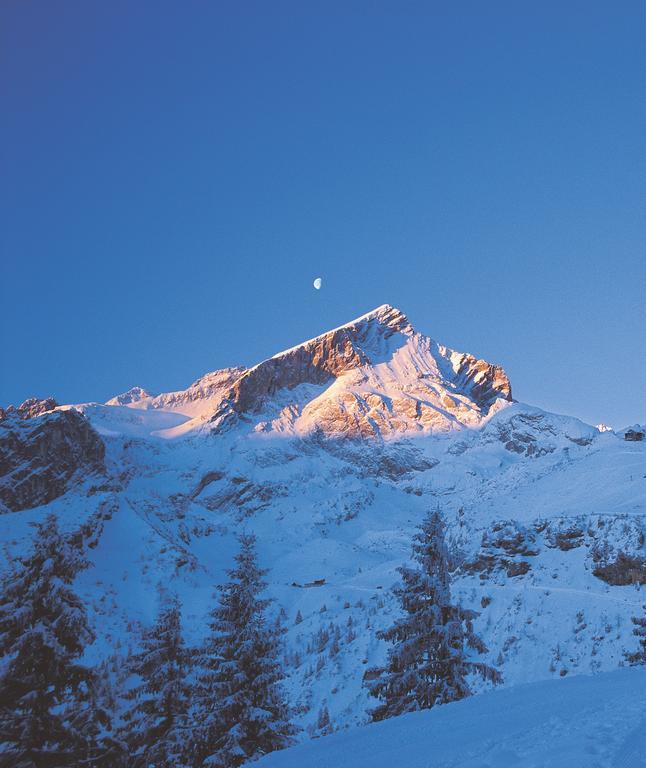 Ferienwohnungen Zugspitze Grainau Exteriör bild